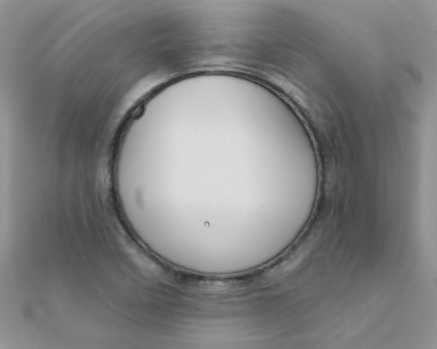 X0000112381458200909031942