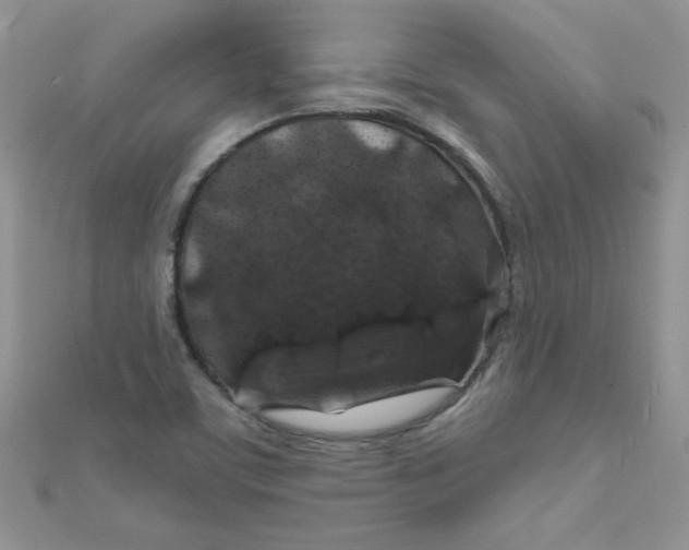 X0000112381459200909031942