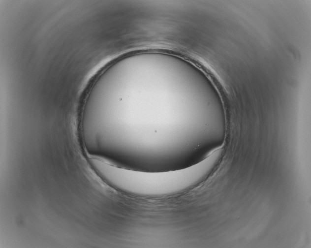 X0000112381460200909031942