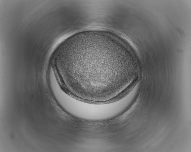 X0000112381461200909031942