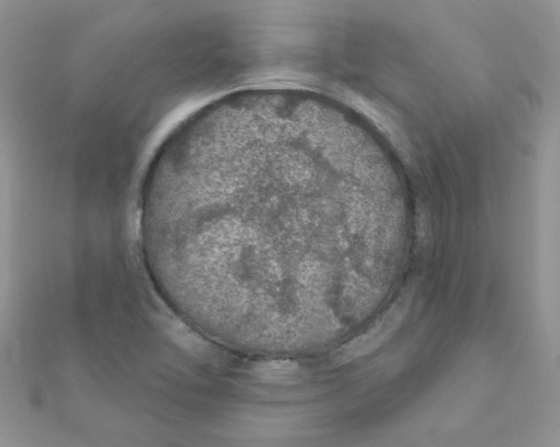 X0000112381462200909031942