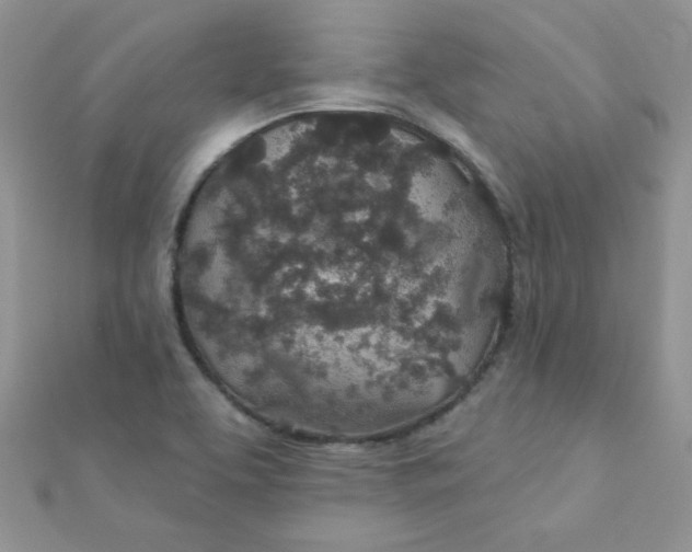 X0000112381463200909031942