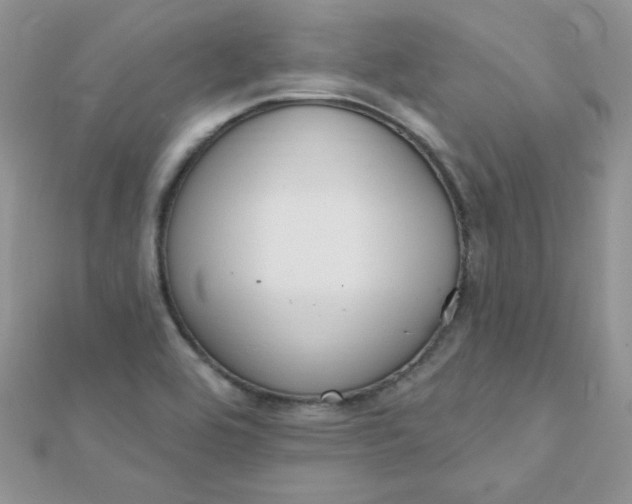 X0000112381464200909031942