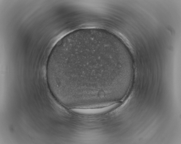 X0000112381465200909031942