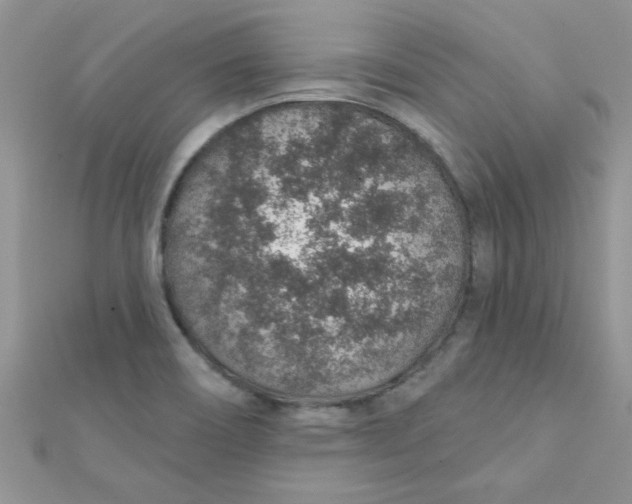 X0000112381466200909031942