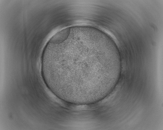 X0000112381467200909031942