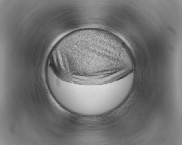 X0000112381468200909031942