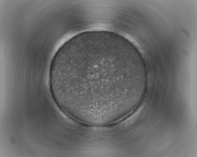 X0000112381469200909031942