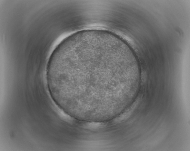 X0000112381470200909031942