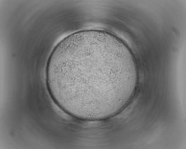 X0000112381471200909031942