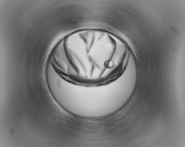 X0000112381472200909031942