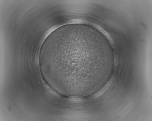 X0000112381473200909031942