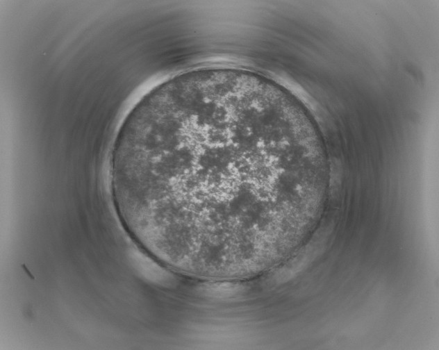 X0000112381474200909031942