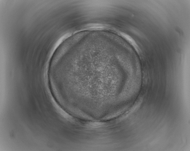 X0000112381475200909031942