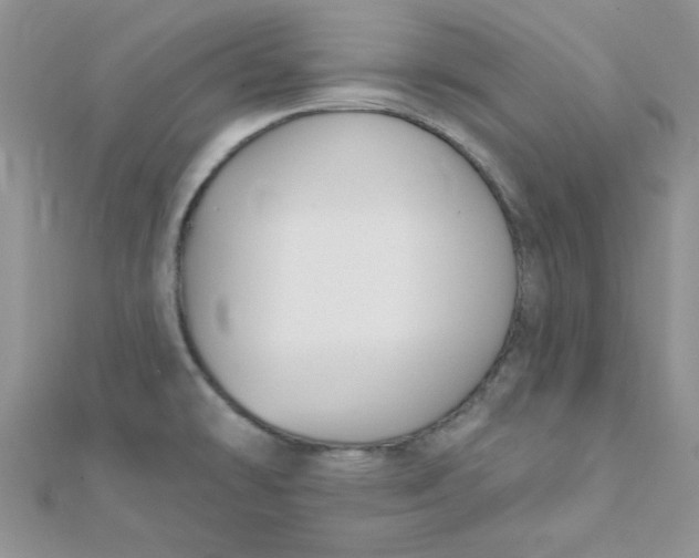 X0000112381478200909031942