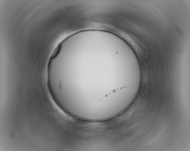 X0000112381479200909031941