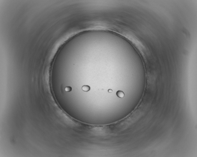 X0000112381480200909031941