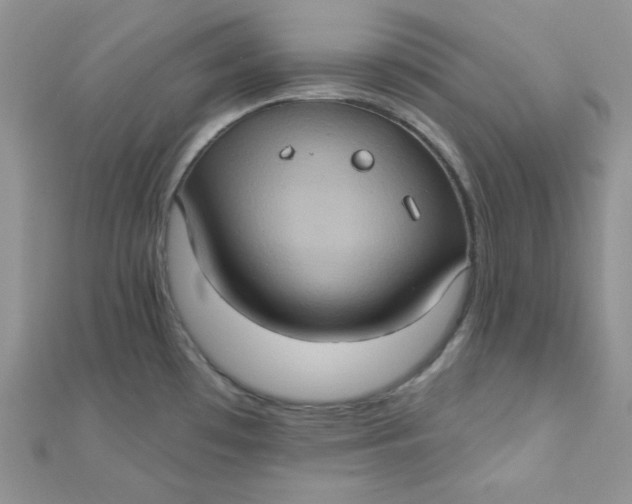 X0000112381481200909031941