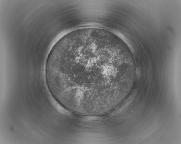 X0000112381482200909031941