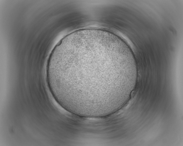 X0000112381483200909031941