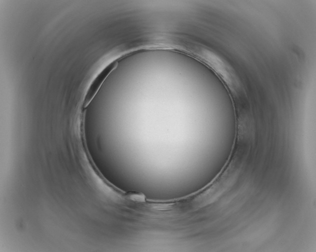 X0000112381484200909031941