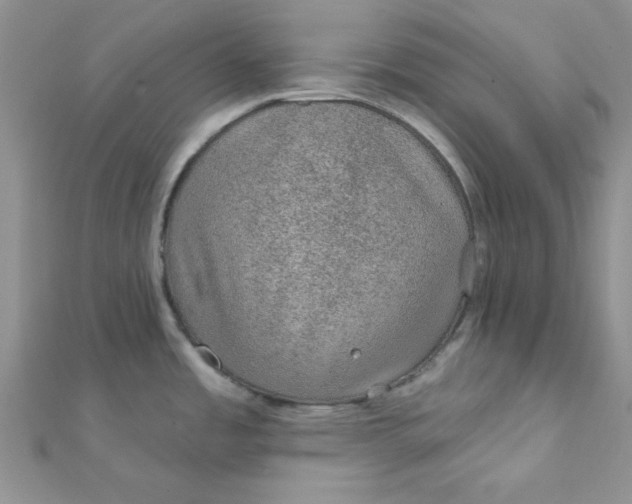 X0000112381485200909031941