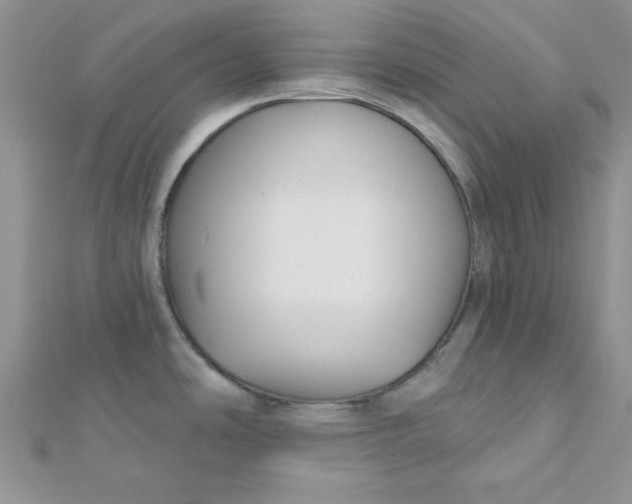 X0000112381486200909031941