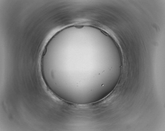 X0000112381488200909031941