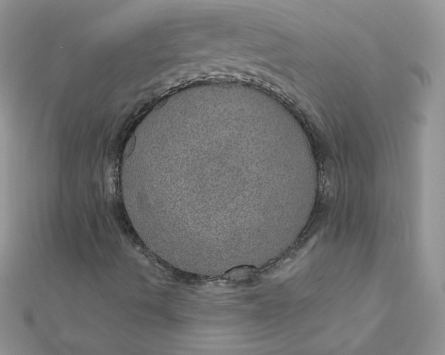 X0000112381490200909031941