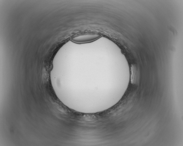 X0000112381491200909031941