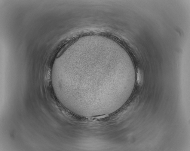 X0000112381492200909031941