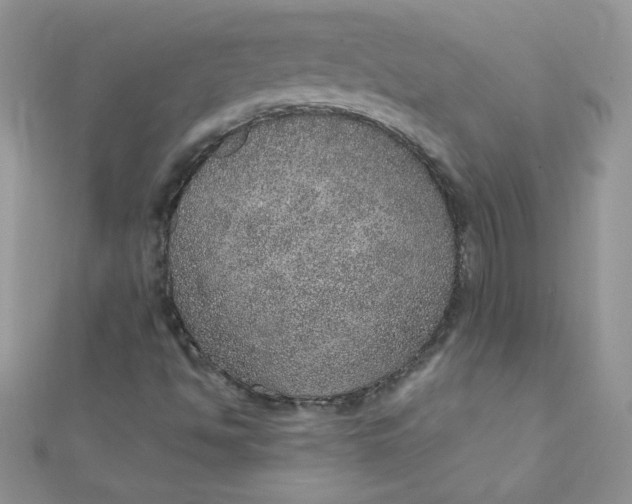 X0000112381494200909031941