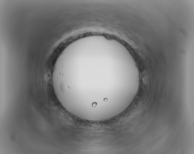 X0000112381495200909031941