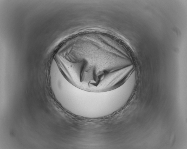 X0000112381496200909031941