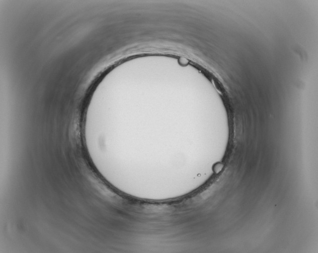 X0000112381498200909031941