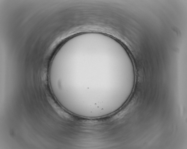 X0000112381499200909031941