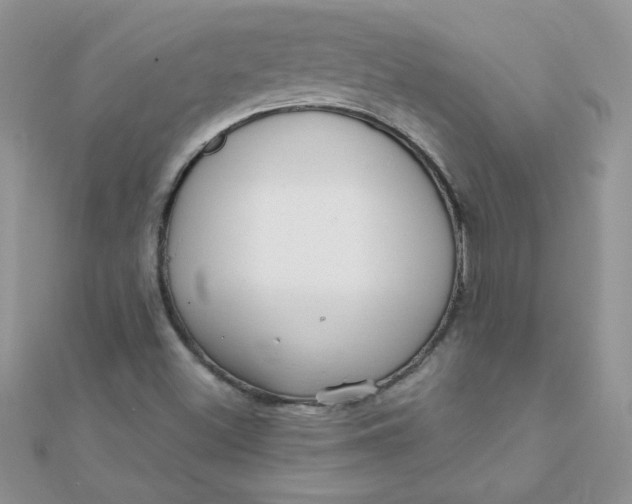 X0000112381500200909031941