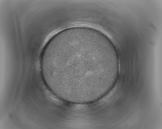 X0000112381501200909031941