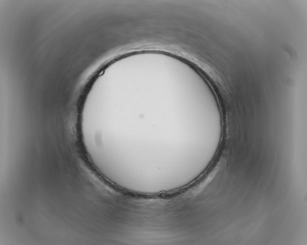 X0000112381502200909031941