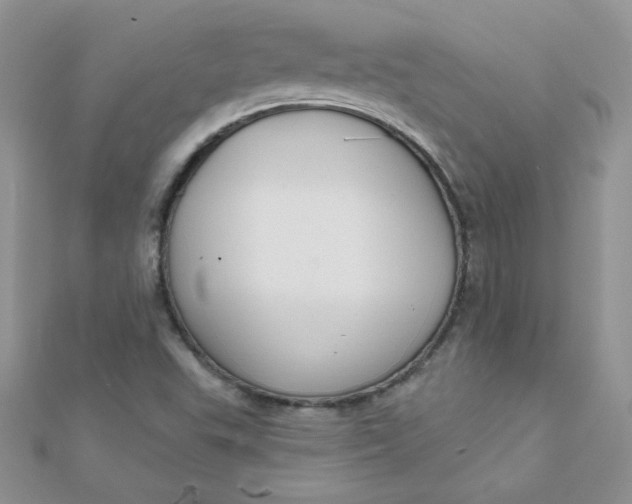 X0000112381503200909031941