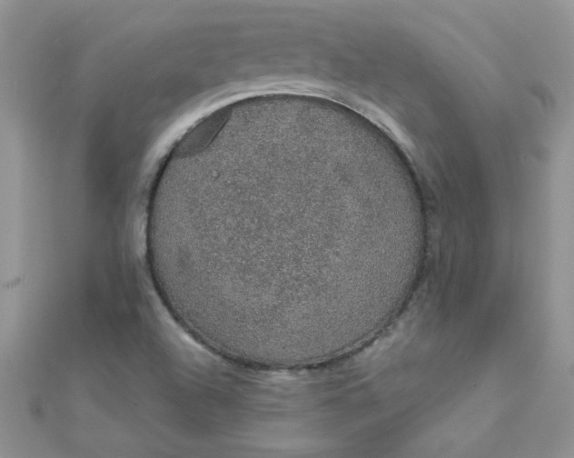 X0000112381504200909031941