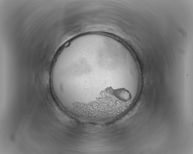 X0000112381505200909031941