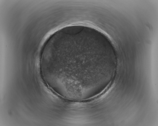 X0000112381506200909031941