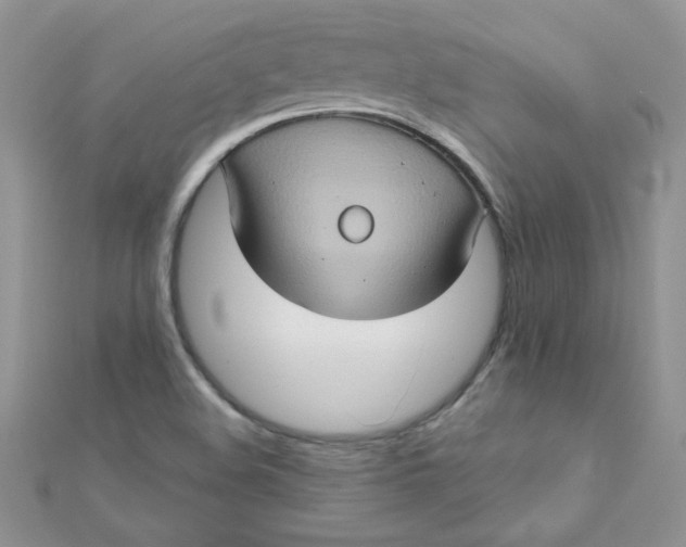 X0000112381508200909031941