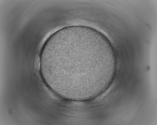 X0000112381509200909031941