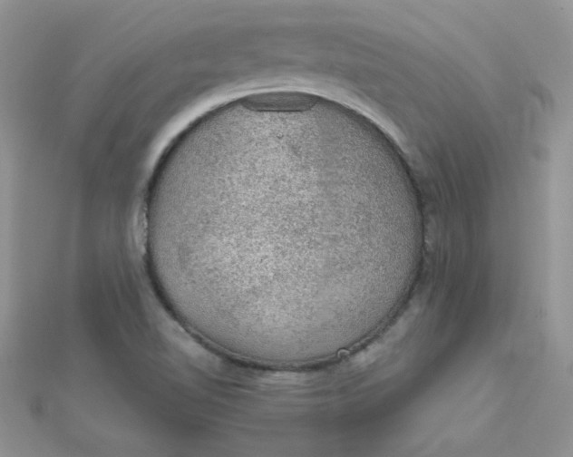 X0000112381510200909031941