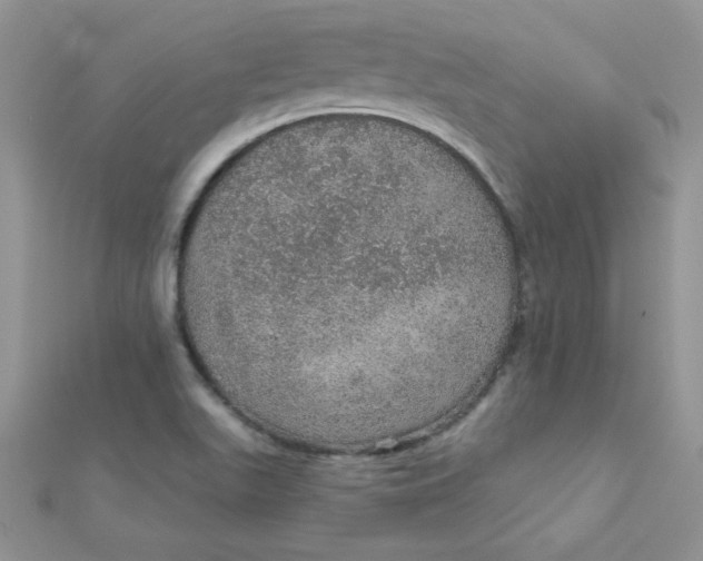 X0000112381511200909031941