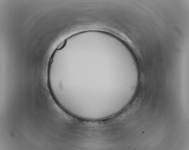 X0000112381512200909031941