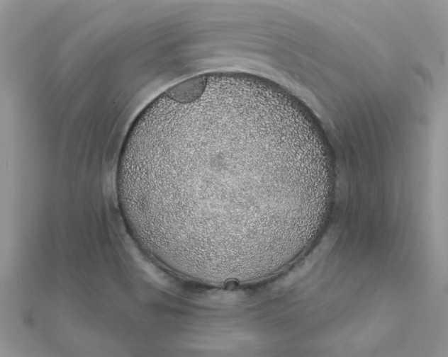 X0000112381513200909031941