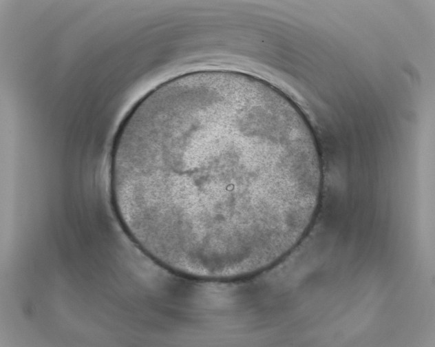 X0000112381514200909031941